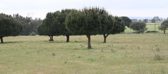 Grundstück in Palmela, Portugal 76138m², Nr. 268003 20