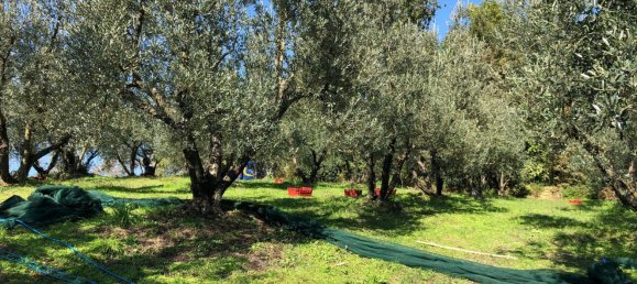 Grundstück in Paliano, Italy 11200m², Nr. 116510 7