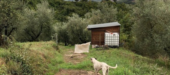 Grundstück in Paliano, Italy 11200m², Nr. 116510 4