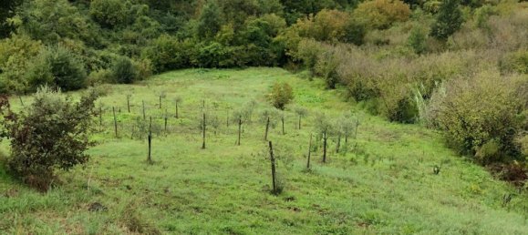 Grundstück in Paliano, Italy 11200m², Nr. 116510 3