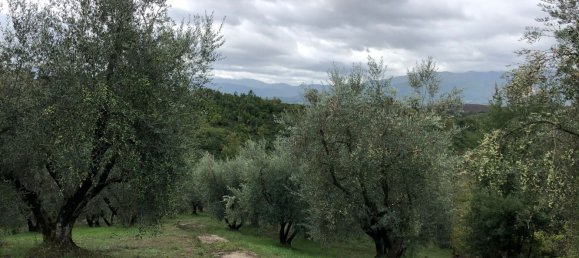 Grundstück in Paliano, Italy 11200m², Nr. 116510 5