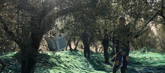 Grundstück in Paliano, Italy 11200m², Nr. 116510 6