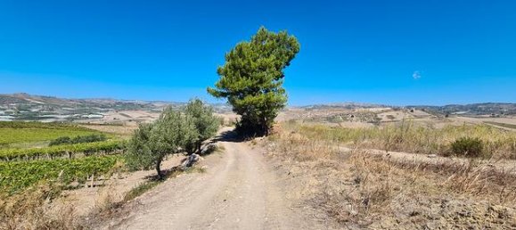  قطعة أرض في Naro, Italy 120513متر مربع رقم 281283 4