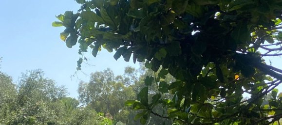 5 Schlafzimmer Villa in Mijas, Spain, Nr. 141842 28