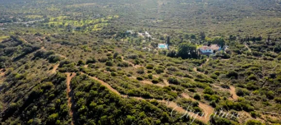 6 bedrooms Villa in Santa Catarina da Fonte do Bispo, Portugal No. 123795 8