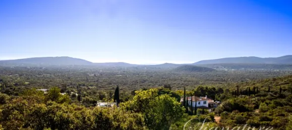 6 bedrooms Villa in Santa Catarina da Fonte do Bispo, Portugal No. 123795 17