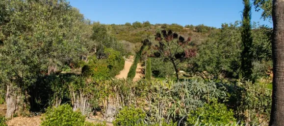 6 bedrooms Villa in Santa Catarina da Fonte do Bispo, Portugal No. 123795 36