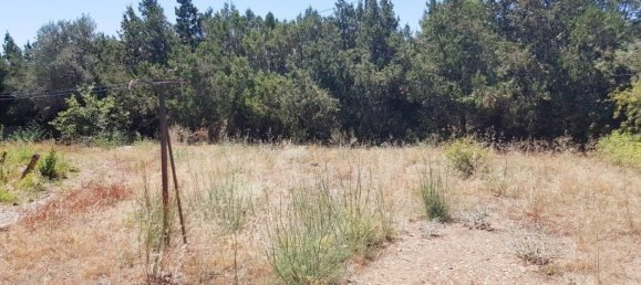 570m² Land in Beziers, France No. 122705 4