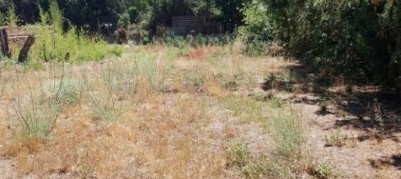 570m² Land in Beziers, France No. 122705 3