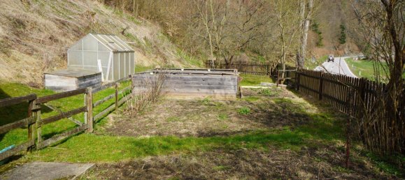 5 rooms House in Schwarzenau, Austria No. 184535 7