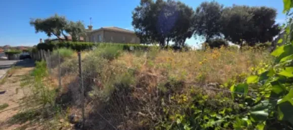  Land in Guadalajara, Spain No. 169394 2