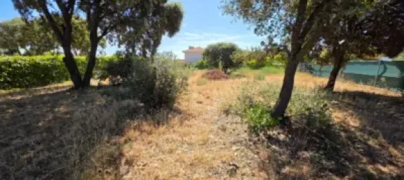  Land in Guadalajara, Spain No. 169394 22