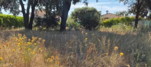  Land in Guadalajara, Spain No. 169394 10