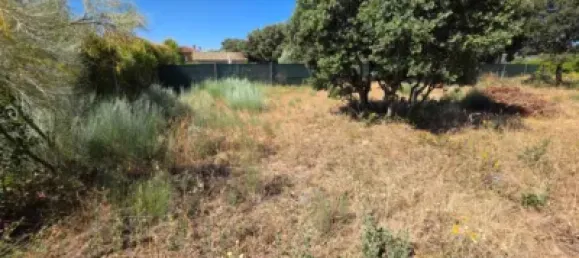  Land in Guadalajara, Spain No. 169394 16