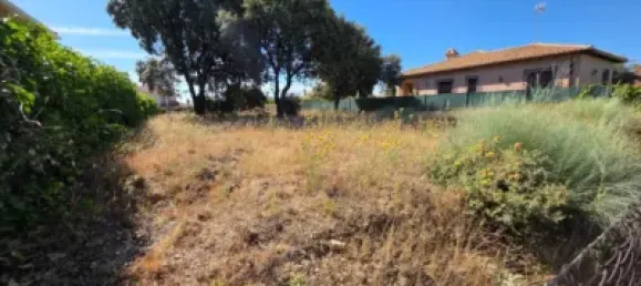  Land in Guadalajara, Spain No. 169394 25