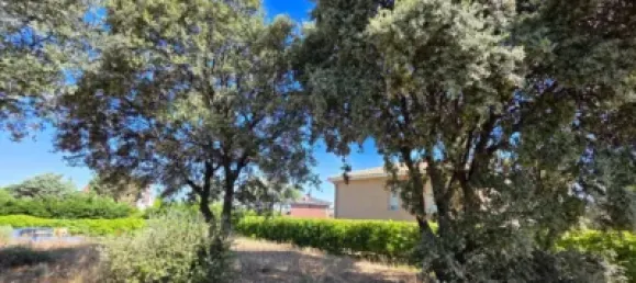  Land in Guadalajara, Spain No. 169394 20