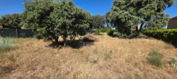  Land in Guadalajara, Spain No. 169394 15