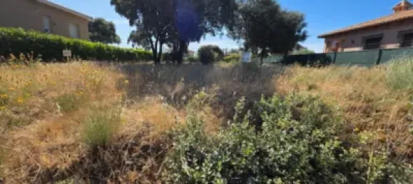  Land in Guadalajara, Spain No. 169394 26