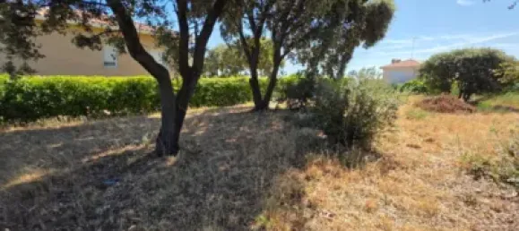  Land in Guadalajara, Spain No. 169394 21