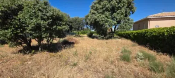  Land in Guadalajara, Spain No. 169394 18