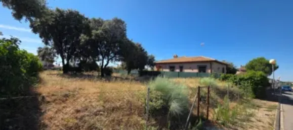  Land in Guadalajara, Spain No. 169394 6