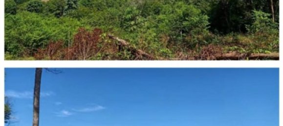  Commercial property in Ko Samui, Thailand No. 24637 2