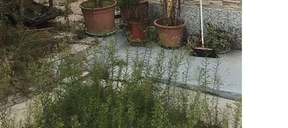 4 bedrooms Apartment in Buscate, Italy No. 276250 25