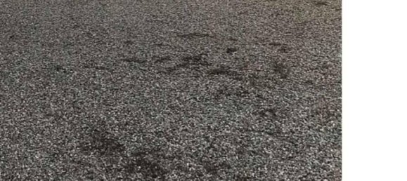 4 bedrooms Apartment in Buscate, Italy No. 276250 21