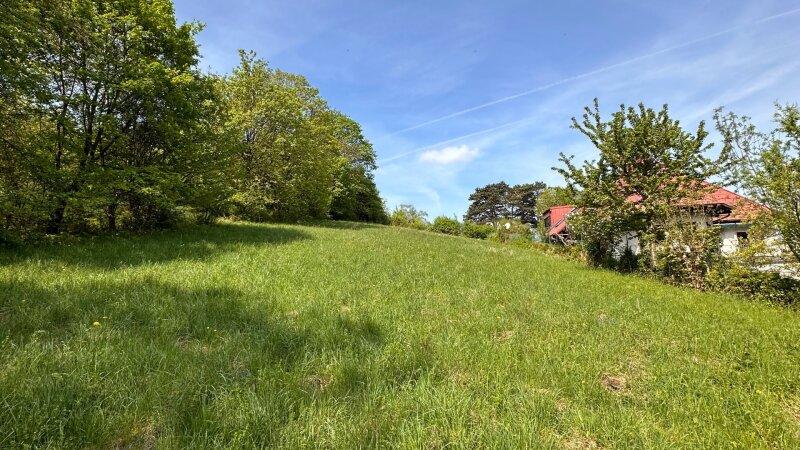 2094m² Land in Klosterneuburg, Austria No. 36702