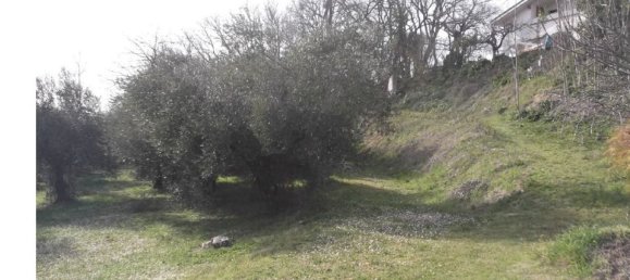 7غرفة شقة في Spoltore, Italy رقم 238423 24