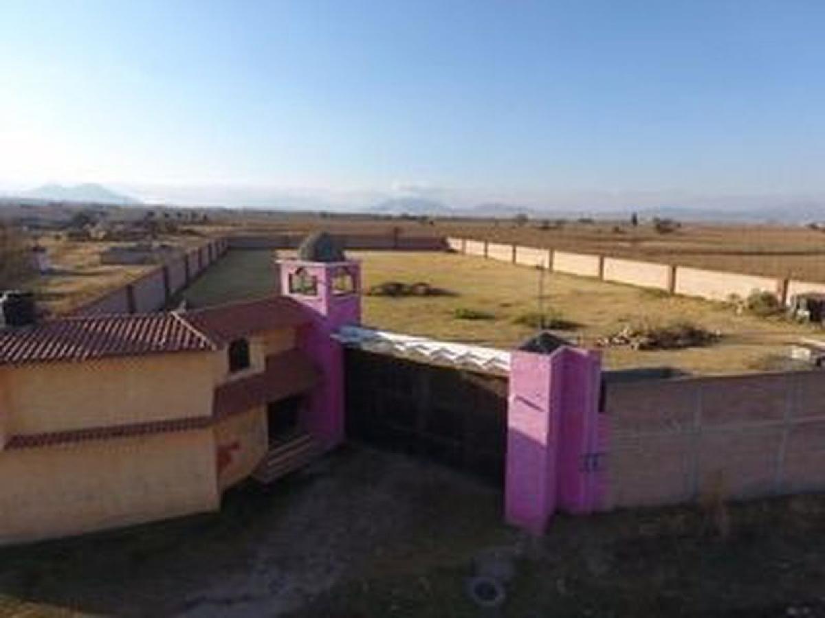  Land in Mexico No. 207023