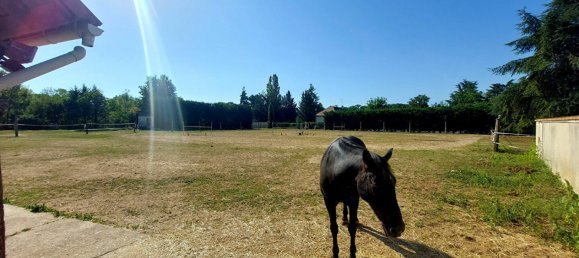 8 غرف نوم منزل في Marmagne, France رقم 92225 6