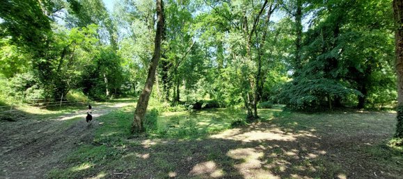 8 غرف نوم منزل في Marmagne, France رقم 92225 9