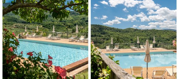 12 bedrooms House in Seggiano, Italy No. 57101 2