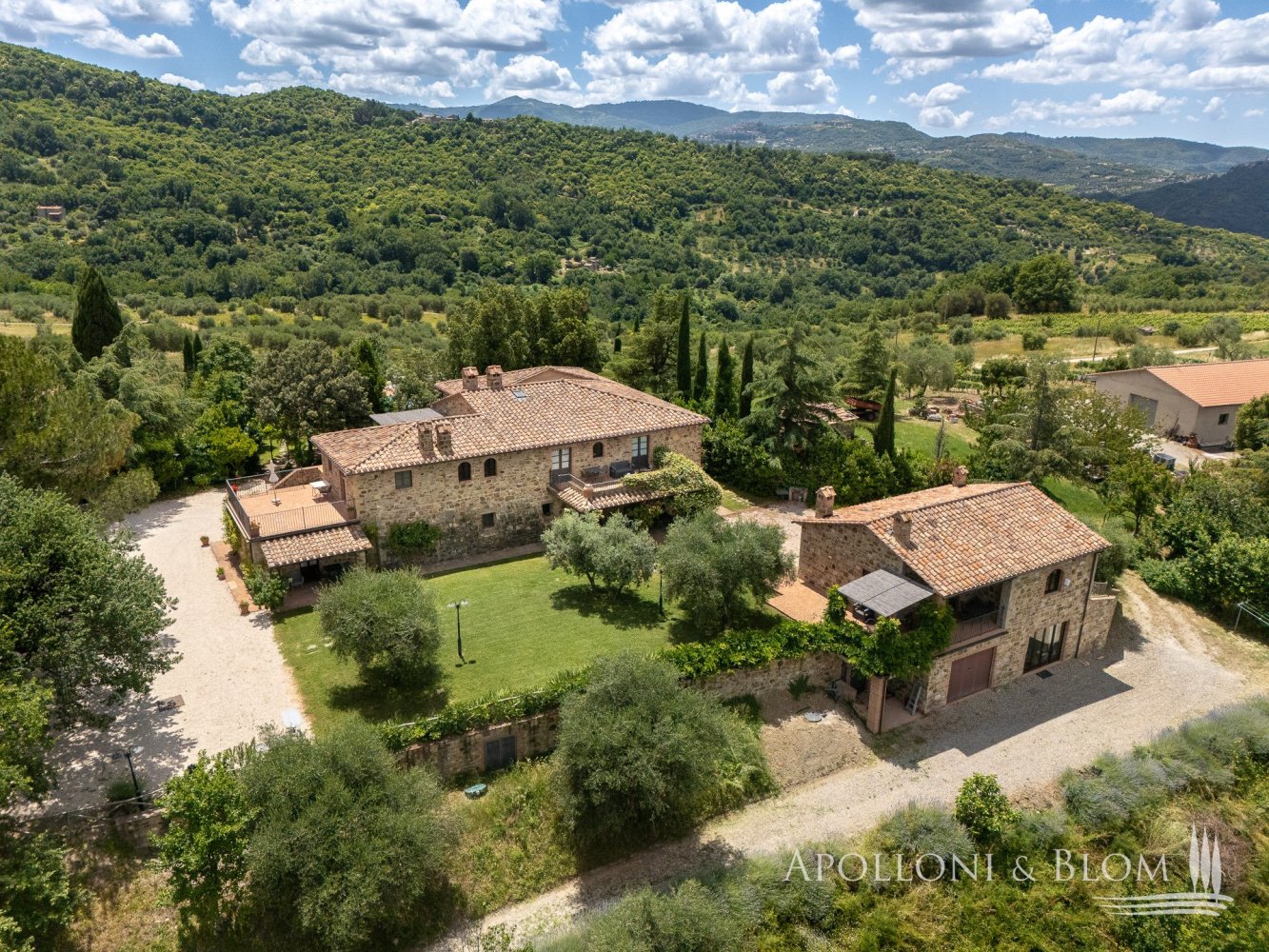 12 bedrooms House in Seggiano, Italy No. 57101