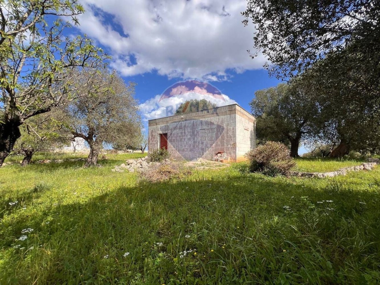 Gewerbliche Immobilie in Ostuni, Italy 40m², Nr. 57018