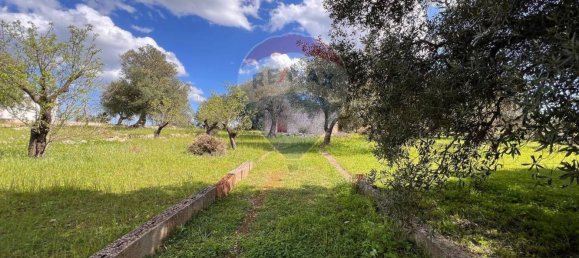 Gewerbliche Immobilie in Ostuni, Italy 40m², Nr. 57018 2
