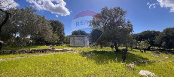 Gewerbliche Immobilie in Ostuni, Italy 40m², Nr. 57018 7