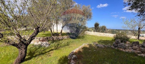 Gewerbliche Immobilie in Ostuni, Italy 40m², Nr. 57018 6
