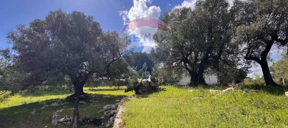 Gewerbliche Immobilie in Ostuni, Italy 40m², Nr. 57018 5