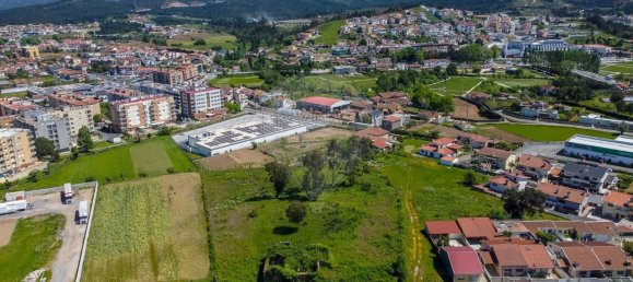 Земельный участок 7570м² в Алфена, Португалия № 117913 3