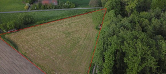  Land in Schaumburg, Germany No. 272907 4