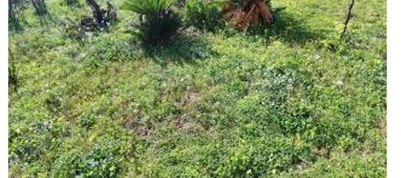 4 rooms Apartment in Melilli, Italy No. 220621 6