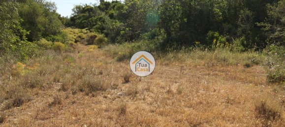3160m² Land in Faro, Portugal No. 74530 8