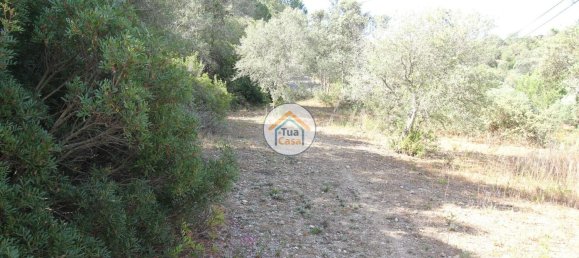 3160m² Land in Faro, Portugal No. 74530 2