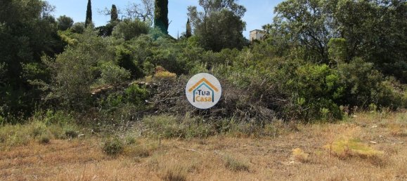 3160m² Land in Faro, Portugal No. 74530 10