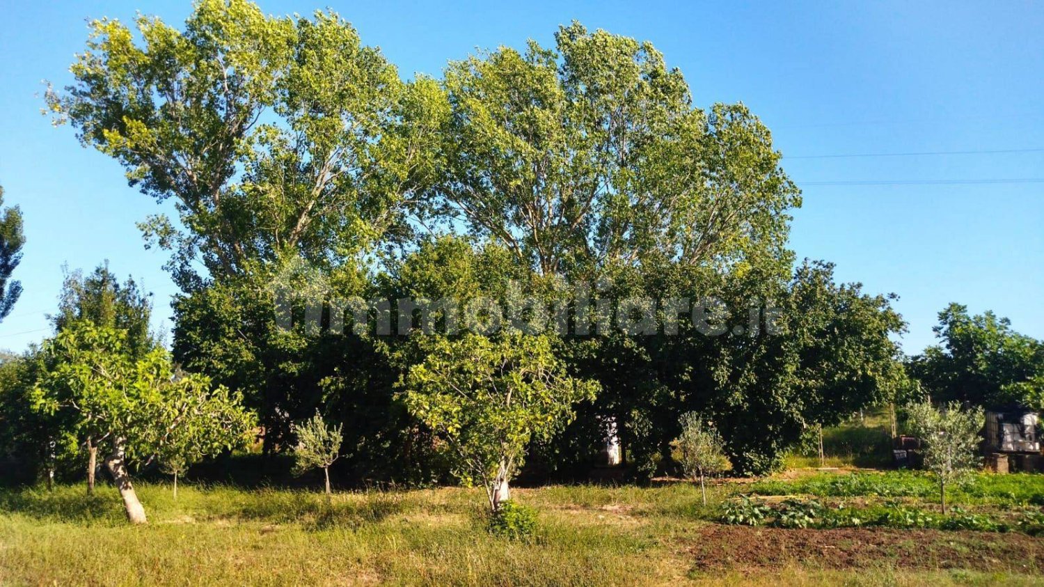 Terreno en Nettuno, Italy 1200 m² No. 336612