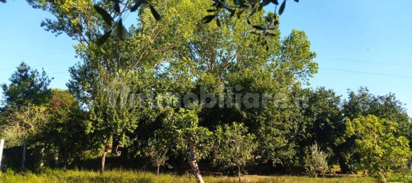 Terreno en Nettuno, Italy 1200 m² No. 336612 9