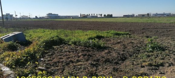 Terreno en Trinitapoli, Italy 4139 m² No. 254203 6