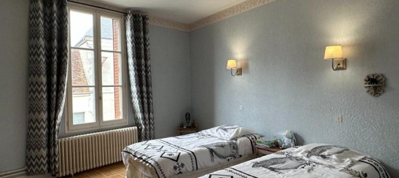 4 chambres Maison de ville à Thevet-Saint-Julien, France No. 87505 8